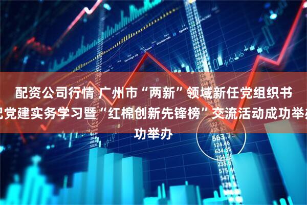 配资公司行情 广州市“两新”领域新任党组织书记党建实务学习暨“红棉创新先锋榜”交流活动成功举办